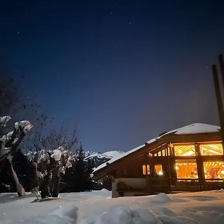Chalet Javen - 520m2 Avec Piscine Chauffée Et Cinéma *